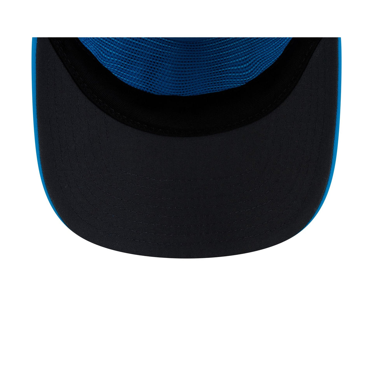 Carolina Panthers 2026 Sideline 19TWENTY Snapback Hat