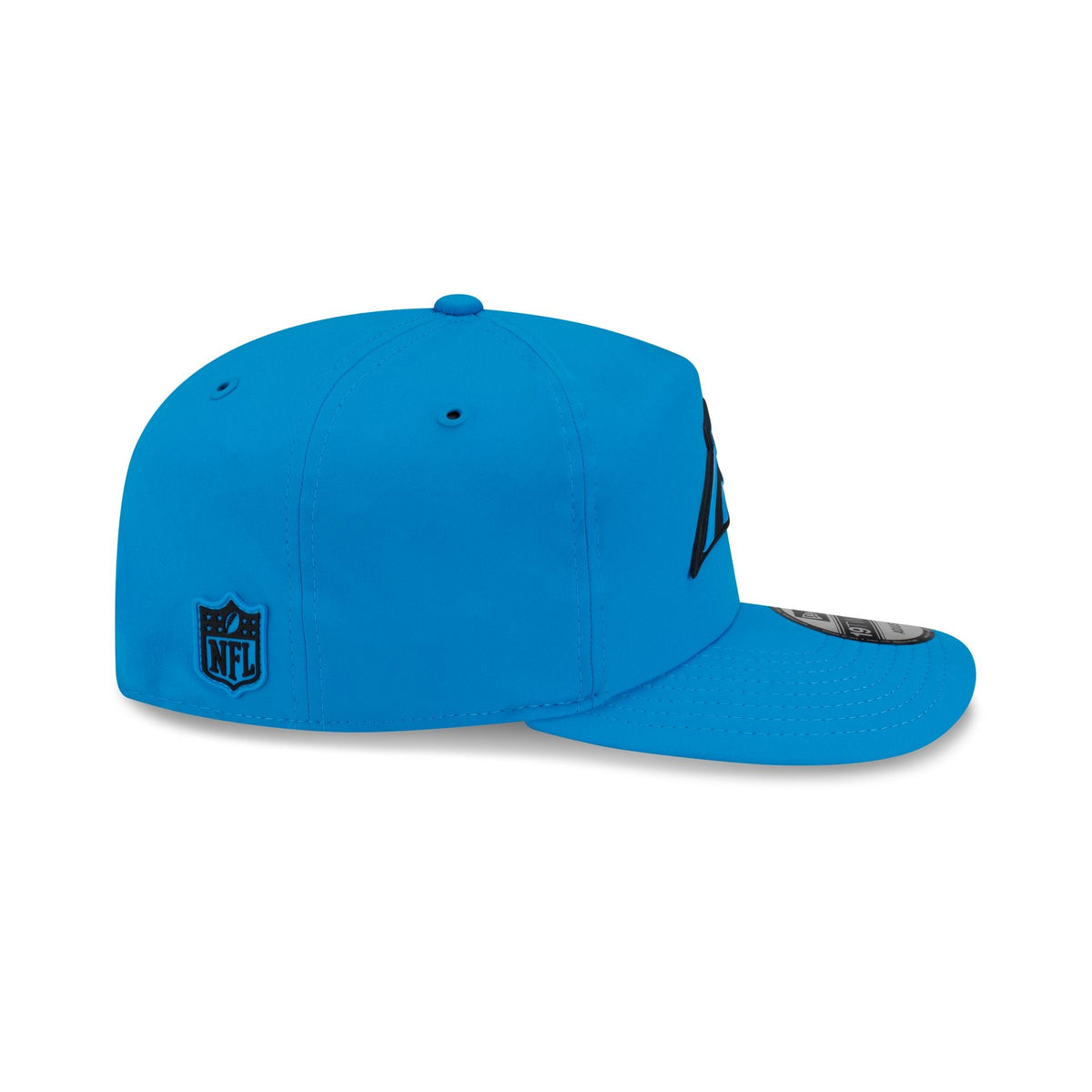 Carolina Panthers 2026 Sideline 19TWENTY Snapback Hat